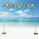 Professional Backdrop Stand Pipe 3m Heavy Duty Background Support Curtain Frame