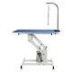 Professional Hydraulic Grooming Table Heavy Duty Adjustable Blue Finish