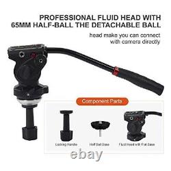 Professional Video Tripod for Camera, 75.6 Inch/192cm Heavy Duty Fluid 190cm