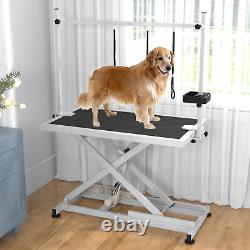 TAUS 50 Electric Professional Heavy Duty Pet Grooming Table For Large Dogs